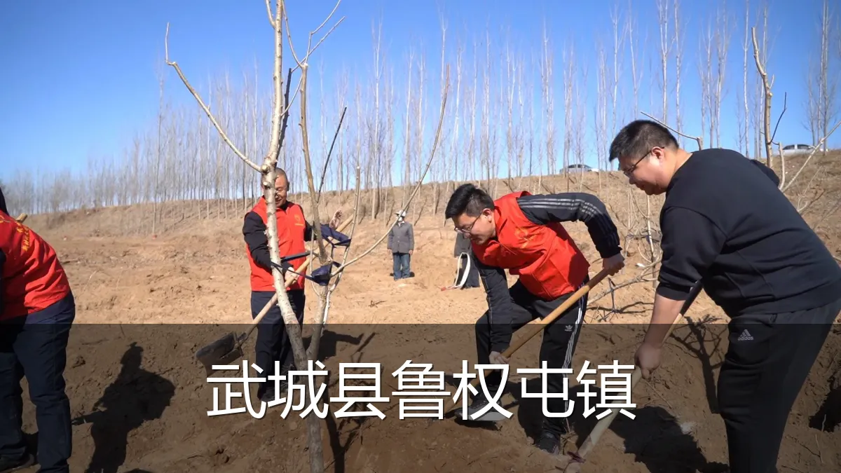 武城县鲁权屯镇