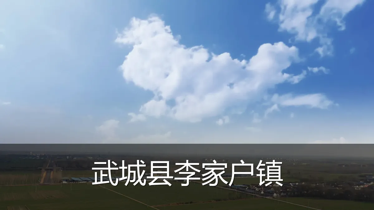 武城县李家户镇